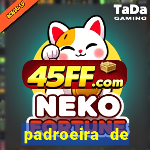 padroeira de cruzeiro sp